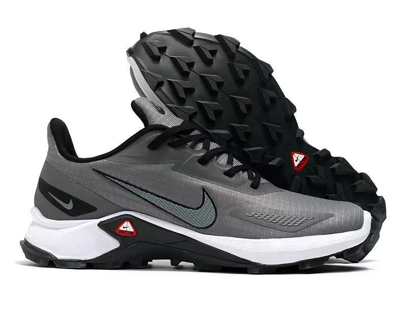 Chaussure sport Nike