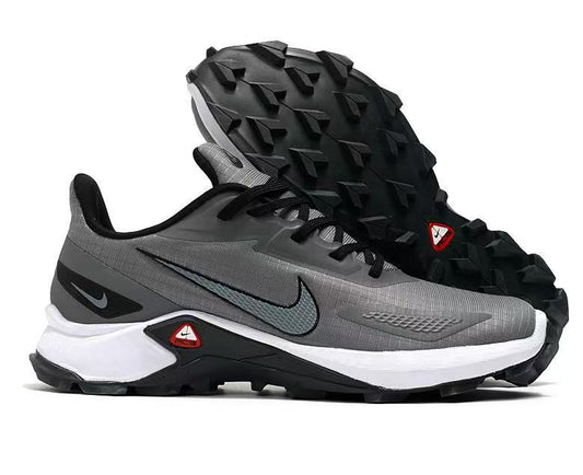 Chaussure sport Nike