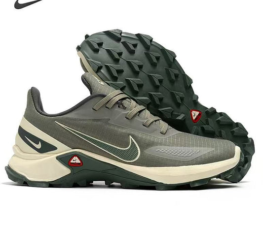 Chaussure sport Nike