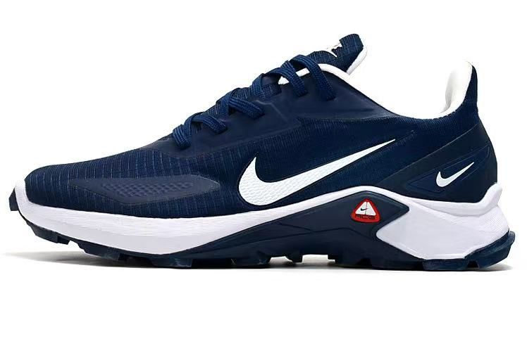 Chaussure sport Nike